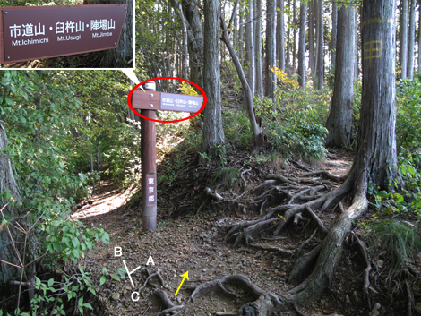 20171026hike (92)